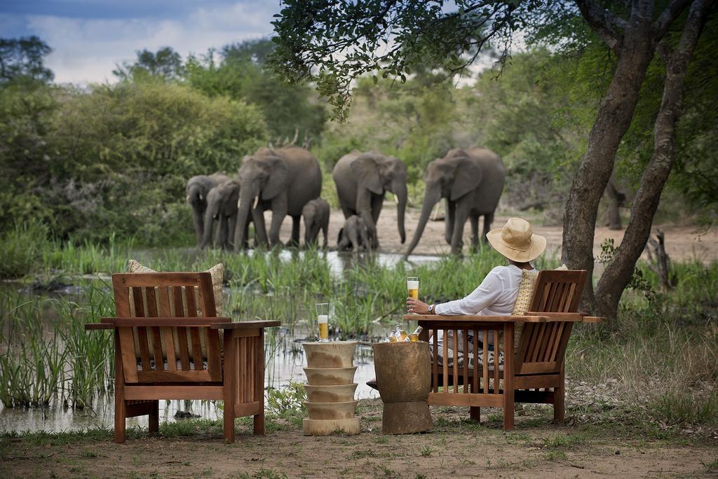 Tanda Tula Safari Camp Villa Rezervaţia naturală Timbavati Exterior foto