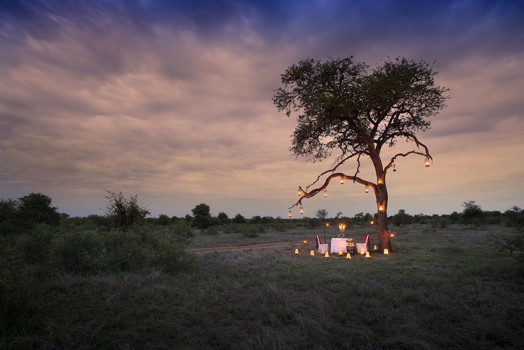 Tanda Tula Safari Camp Villa Rezervaţia naturală Timbavati Exterior foto