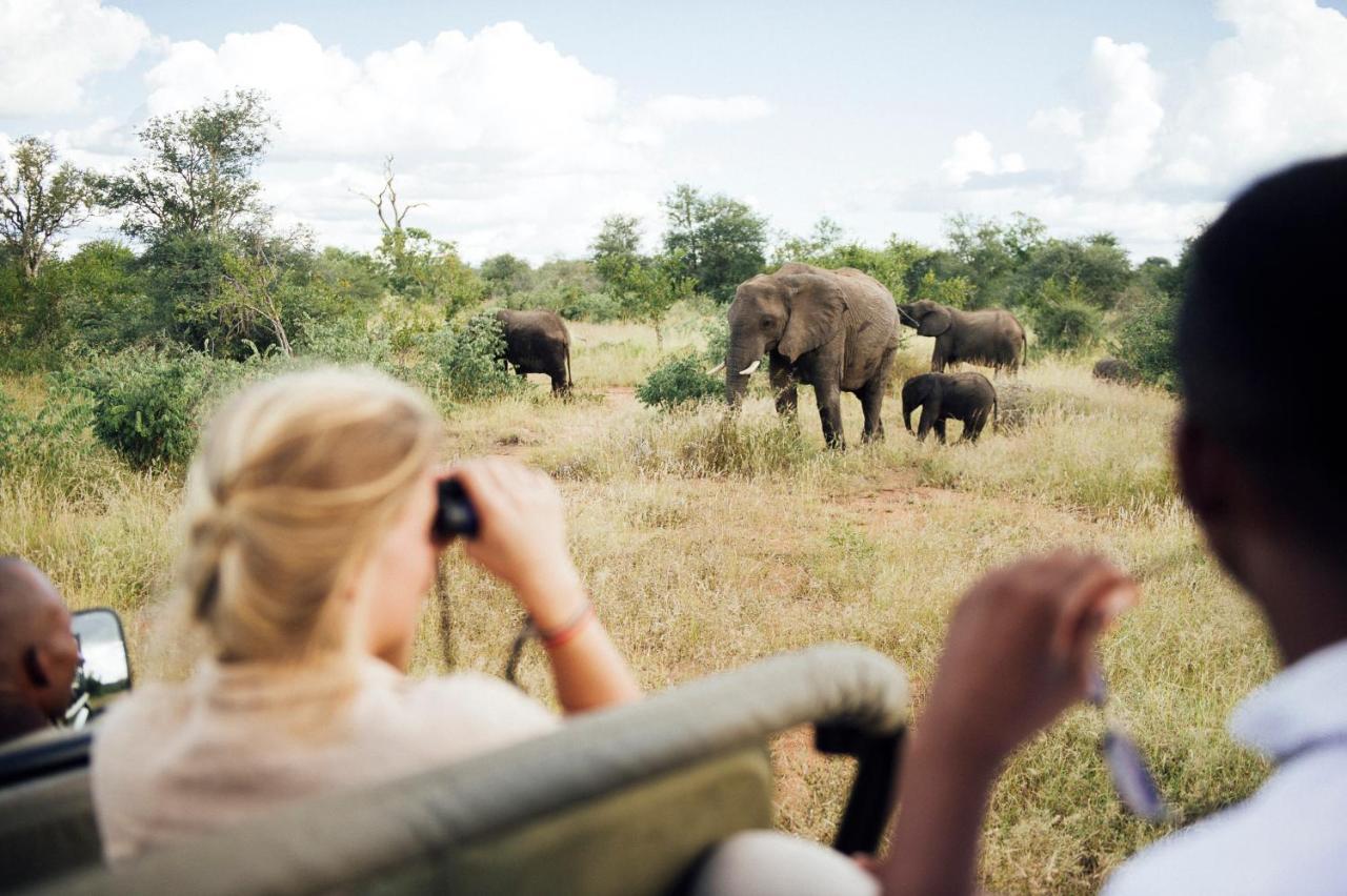 Tanda Tula Safari Camp Villa Rezervaţia naturală Timbavati Exterior foto