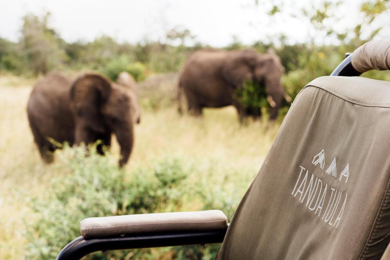 Tanda Tula Safari Camp Villa Rezervaţia naturală Timbavati Exterior foto