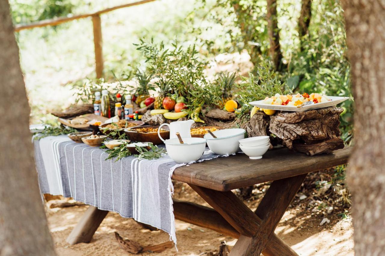 Tanda Tula Safari Camp Villa Rezervaţia naturală Timbavati Exterior foto
